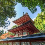 連載：琳派400年の京都を訪ねる  Vol.2