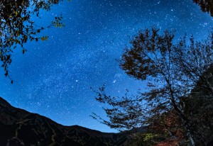 ナメゴ谷 夜景