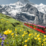雄大な山並みを眺める！スイスアルプスの旅